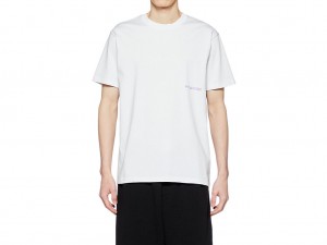 Onitsuka Tiger Graphic Tee Kleidung Damen Weiß | FZ7460319