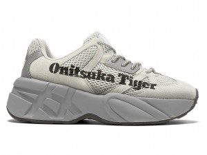 Onitsuka Tiger P-Trainer Schuhe Damen Polar Shade / Sheet Rock | PW0367241