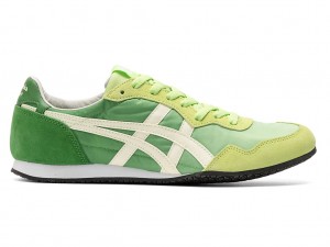 Onitsuka Tiger Serrano Schuhe Herren Grün | OZ1379062