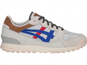 Onitsuka Tiger Tiger Horizonia Schuhe Herren Grau Blau | OQ2173695